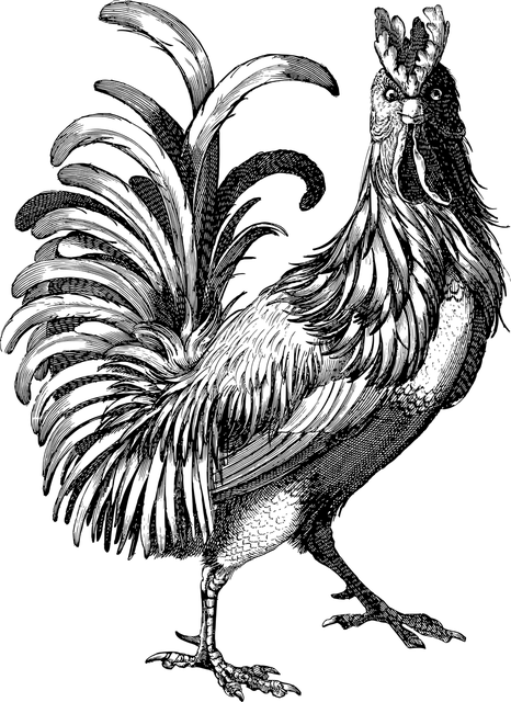 Logo von Geflügelhof Wigger